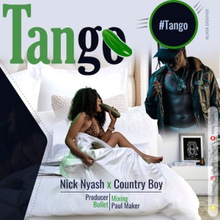 Audio Nicky Nyash ft Country boy - Tango Mp3 Download