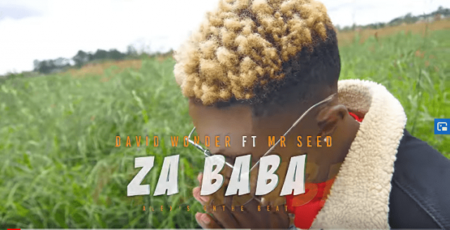 Video: David Wonder ft Mr Seed - ZA BABA
