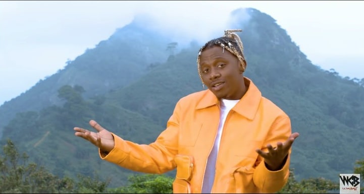 VIDEO: Rayvanny Ft Messias-Teamo Download