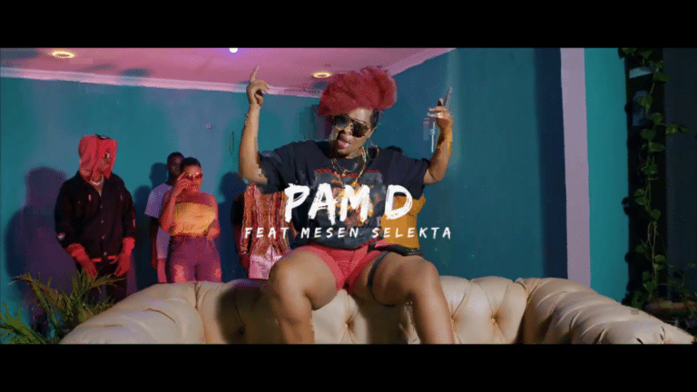 VIDEO: Pam D Ft Mesen Selekta – UMENIWEZA Mp4 DOWNLOAD