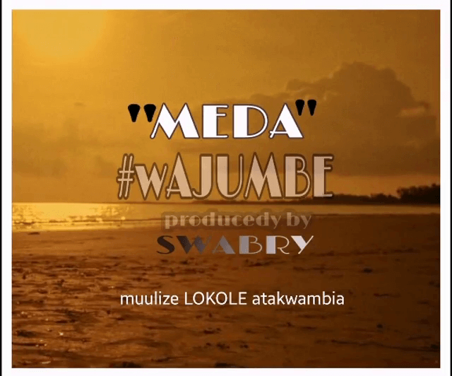 AUDIO: Meda - Wajumbe Mp3 Download