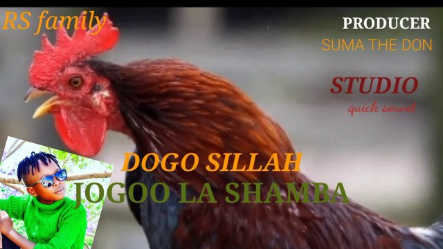 Dogo Sillah – Jogoo La Shamba Mp3 Download