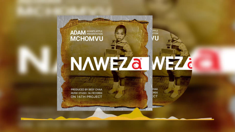 Adam Mchomvu Ft Next Generation – Naweza Mp3 Download AUDIO