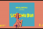 Diamond Platnumz Ft Mkaliwenu -Sijichubui (Haunisumbui Remix) Mp3 Download AUDIO