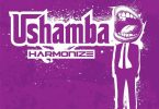 Harmonize - Ushamba Mp3 Download AUDIO