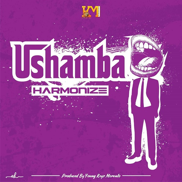 Harmonize - Ushamba Mp3 Download AUDIO
