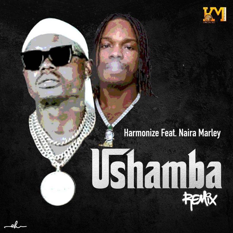 AUDIO: Harmonize Ft Naira Marley - Ushamba Remix Mp3 DOWNLOAD