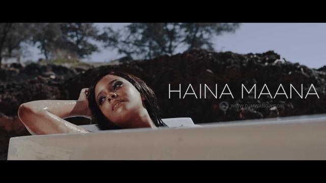 VIDEO: Mimi Mars – HAINA MAANA Mp4 DOWNLOAD