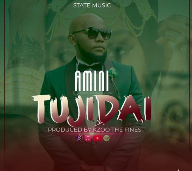 AUDIO: Amini – Tujidai Mp3 Download