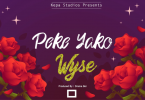 AUDIO: Wyse – Peke Yako Mp3 Download