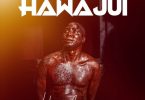AUDIO: Hassan Mapenzi – Hawajui Mp3 Download