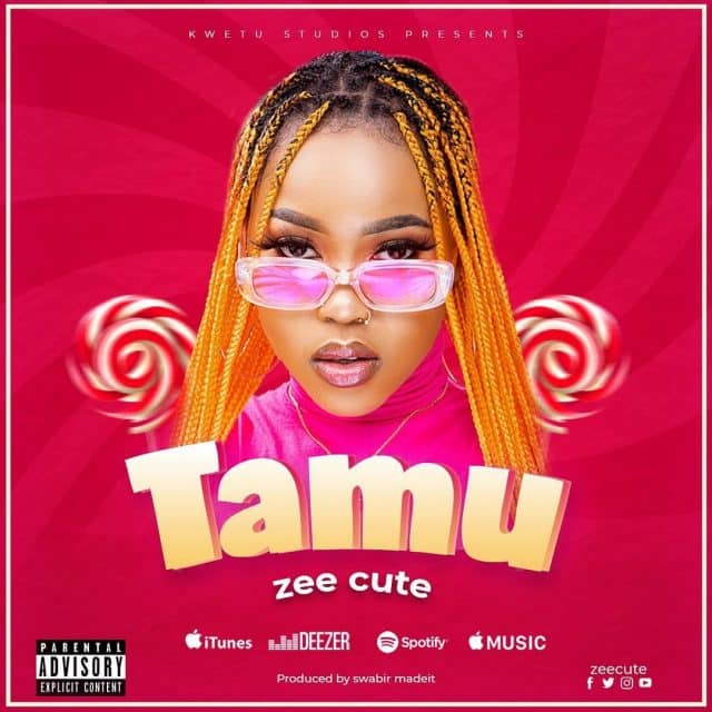 AUDIO: Zee – Tamu Mp3 Download