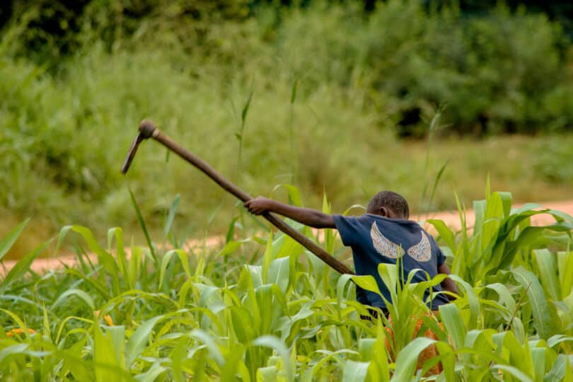 Tumia Njia Hii Kujiwamua Katika Kilimo Usihangaike Tena