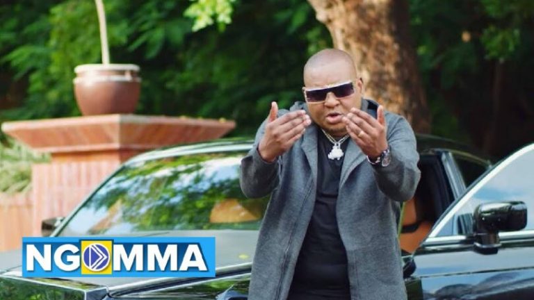 VIDEO: Professor Jay - Utaniambia Nini Mp4 Download