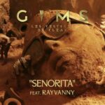 AUDIO: Gims Ft Rayvanny - Senorita Mp3 Download