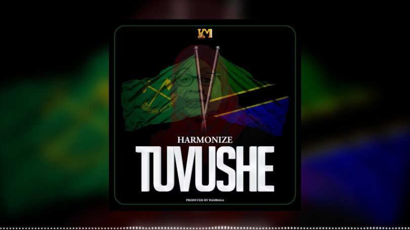 AUDIO: Harmonize - Tuvushe Mp3 Download