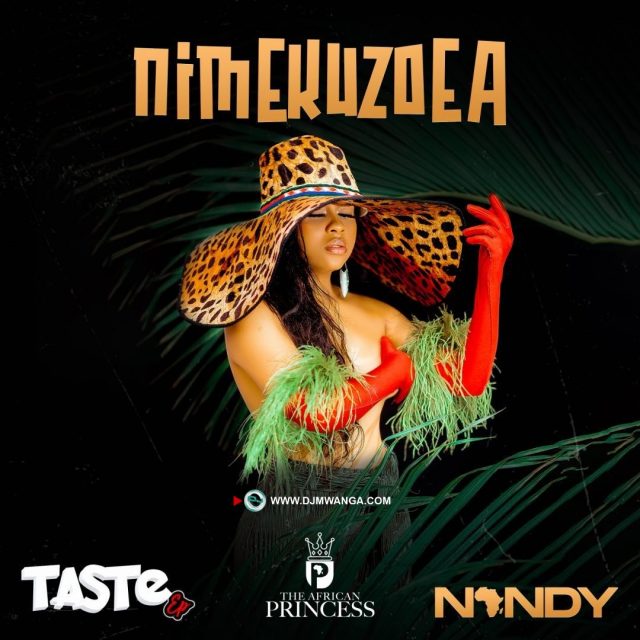 AUDIO: Nandy - Nimekuzoea Mp3 Download