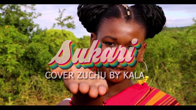 AUDIO: Kala From Comores - Sukari Video Cover Mp3 Download