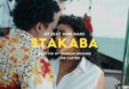 VIDEO: AY Ft Mimi Mars - Stakaba Mp4 Download