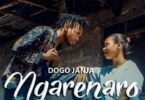 AUDIO: Dogo Janja - Ngarenaro Mp3 Download