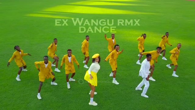 Dance VIDEO: Hamisa Mobetto Ft Seneta - Ex wangu Remix Mp4 Download