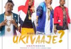 AUDIO: Dogo Janja - Ukivaaje Unapendeza Mp3 Download