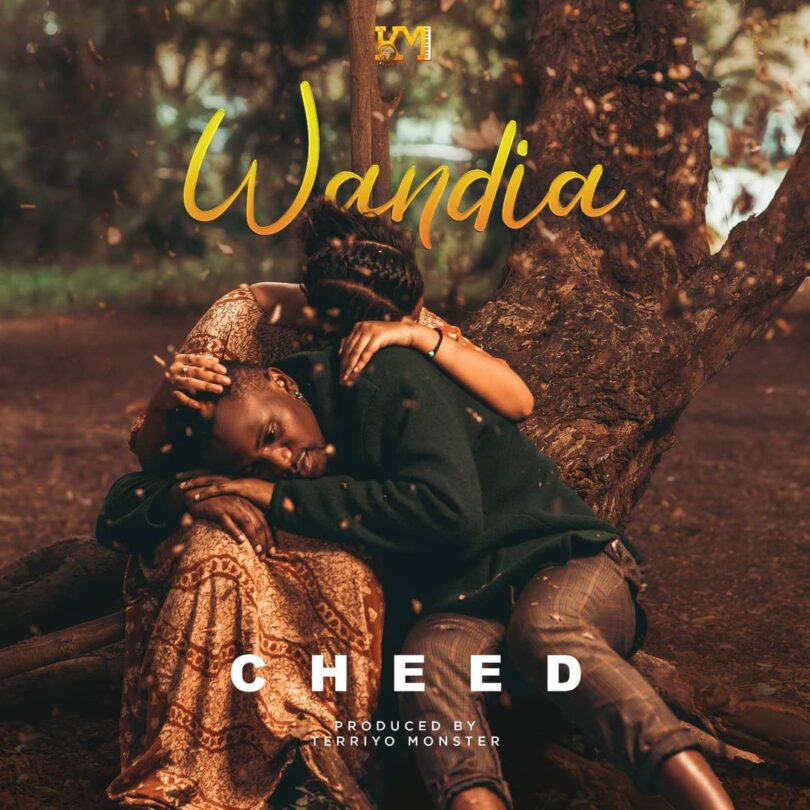 VIDEO: Cheed - Wandia Mp4 Download