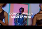 VIDEO: Dogo Janja Ft Mimi Mars - Shindulia Chini Mp4 Download