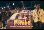 VIDEO: Macvoice Ft Leon Lee & Rayvanny - Pombe Mp4 Download