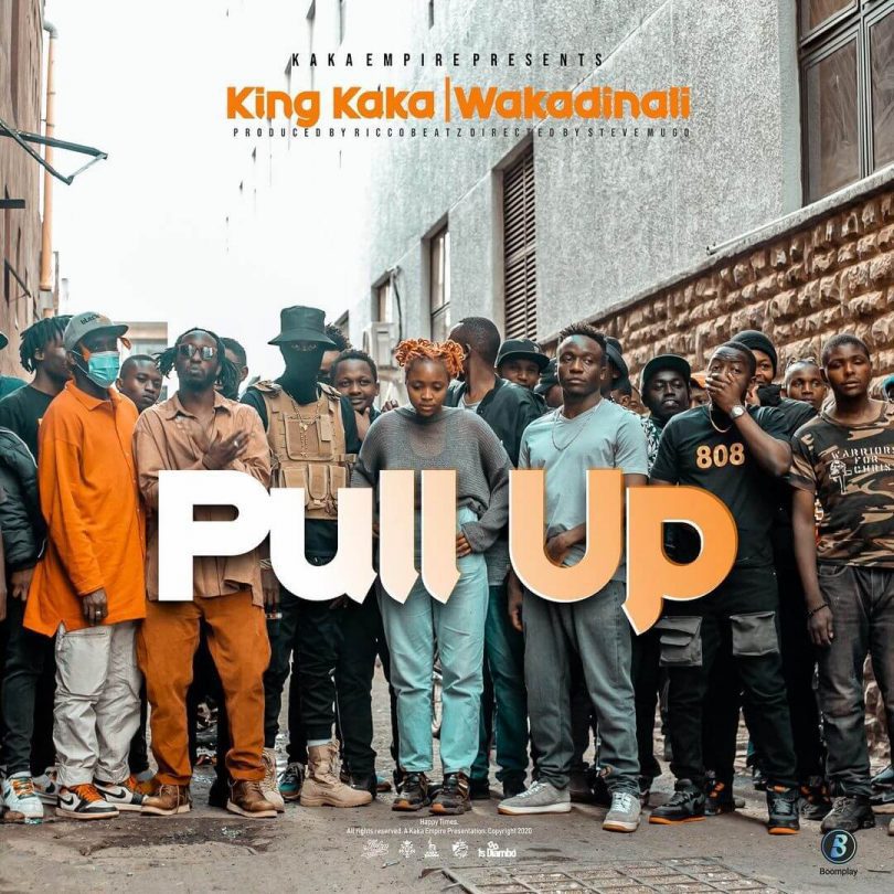 AUDIO: King Kaka Ft Wakadinali - Pull Up Mp3 Download