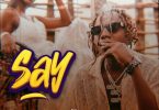 AUDIO: Country Wizzy - Say Mp3 Download