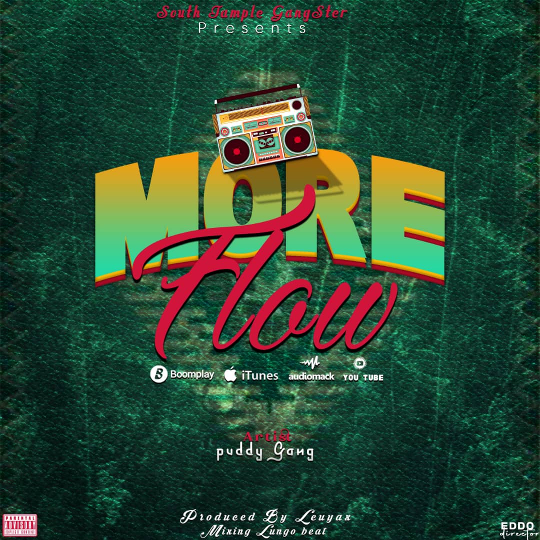AUDIO: Puddy Gang - More Flow 2 Mp3 Download