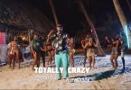 VIDEO: Bruce Melodie Ft Harmonize - Totally Crazy Mp4 Download