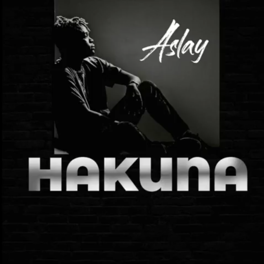AUDIO: Aslay - Hakuna Mp3 Download