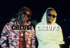 VIDEO: Ommy Dimpoz Ft Meja Kunta - Cheusi Cheupe Mp4 Download