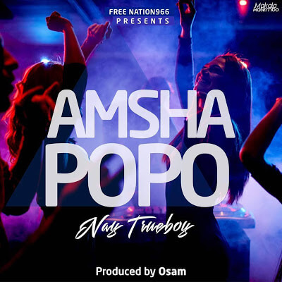 AUDIO: Nay Wa Mitego - Amsha Popo Mp3 Download
