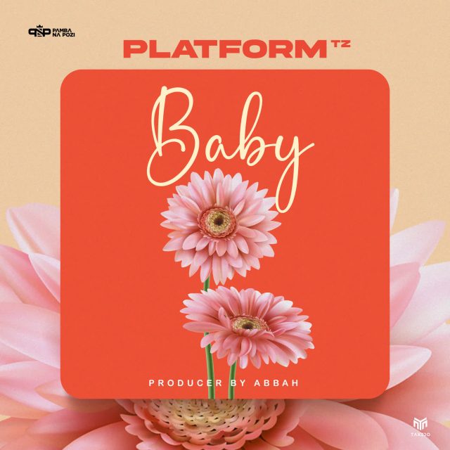 AUDIO: Platform Tz - Baby Mp3 Download