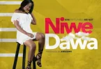 AUDIO: Nini Ft Mr Nay - Niwe Dawa Mp3 Download