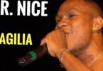 AUDIO: Mr Nice – Fagilia Mp3 Download