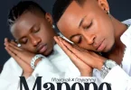 AUDIO: Mavokali Ft Rayvanny - Mapopo Mp3 Download