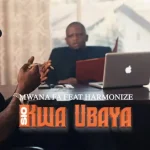 VIDEO: Mwana FA Ft Harmonize - Sio Kwa Ubaya Mp4 Download