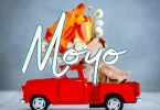 AUDIO: Dayoo - Moyo Mp3 Download