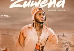 AUDIO: Diamond Platnumz - Zuwena Mp3 Download