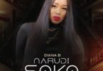 AUDIO: Diana Bahati - Narudi Soko Mp3 Download