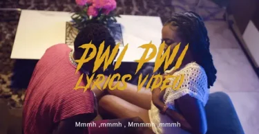 VIDEO: Mavokali - Pwi Pwi Mp4 Download