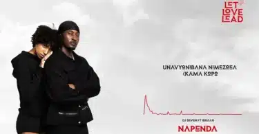 AUDIO: Dj Seven Worldwide Ft Ibraah - Napenda Mp3 Download