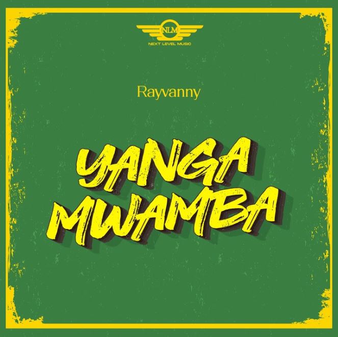 AUDIO: Rayvanny - Yanga Mwamba Mp3 Download