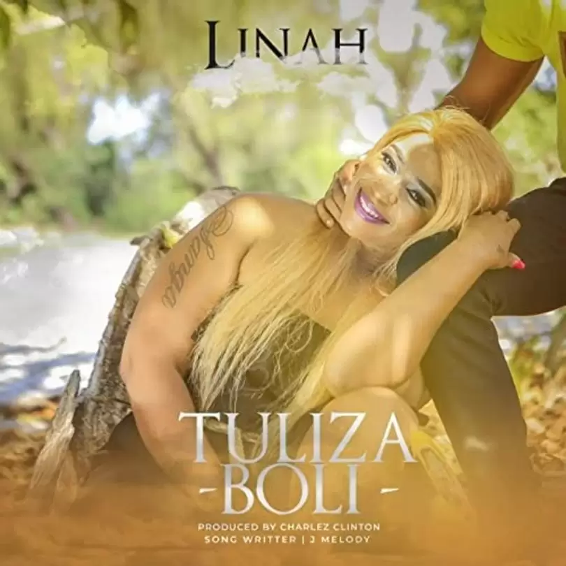 AUDIO: Linah - Tuliza Boli Mp3 Download