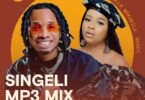 Download Singeli Mix inayowashirikisha Dulla Makabila Na Nandy Ndani Ya Mdundo