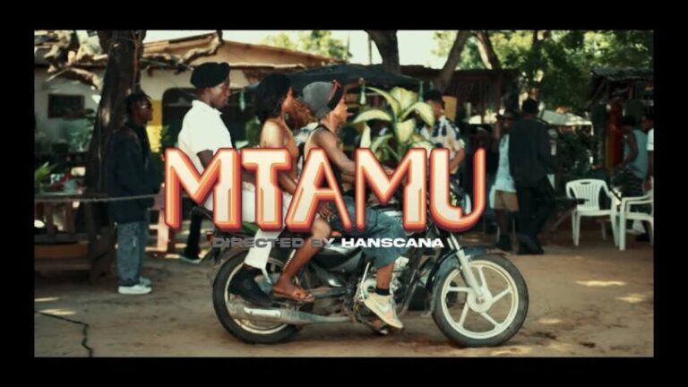 VIDEO: D Voice - Mtamu Mp4 Download